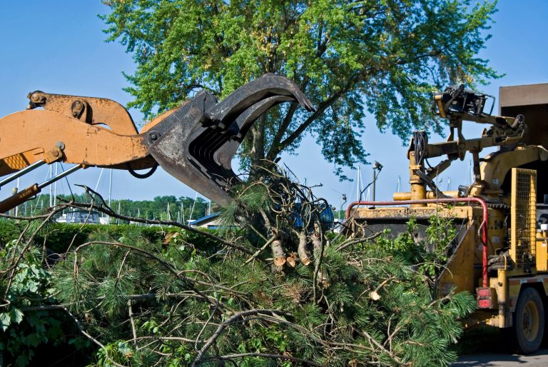 vegetation clearing laws with crane taking trees into truck