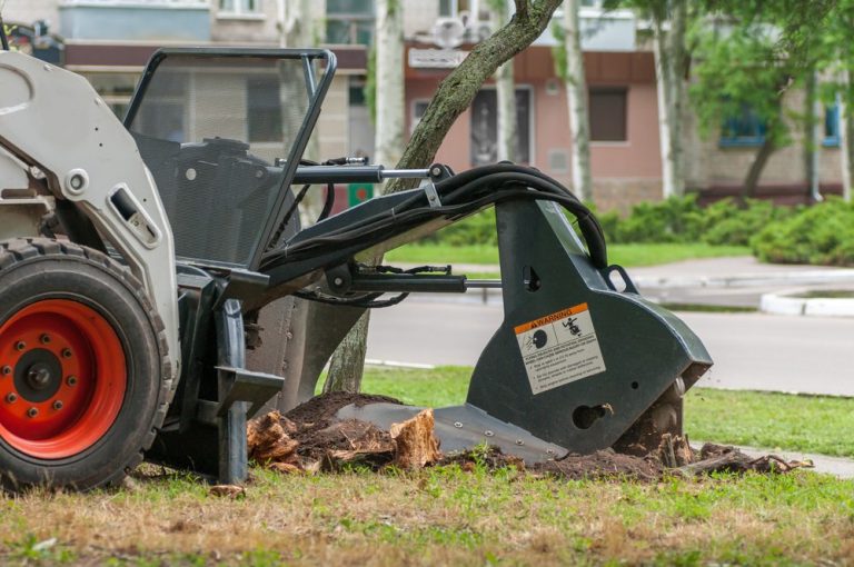 tree removal lindfield by priority trees with tree removal machine