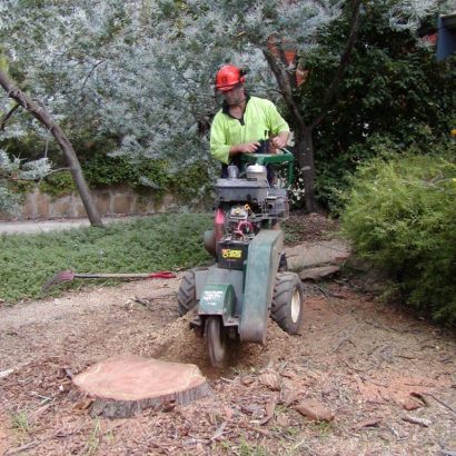 stump removal conducted by priority trees with man using machine