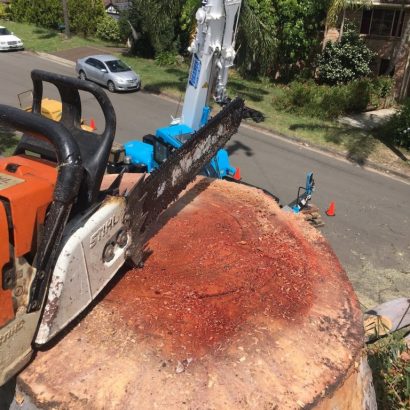 tree removal by priority trees with chainsaw sitting on stump