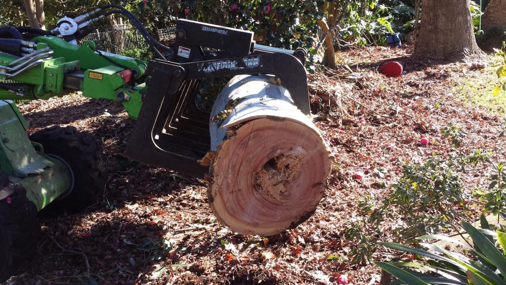 tree removal by priority trees
