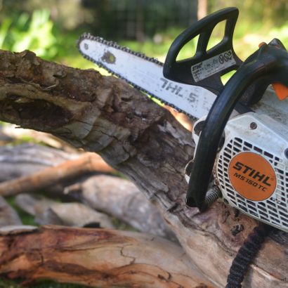 chainsaw and chopped trees by priority trees