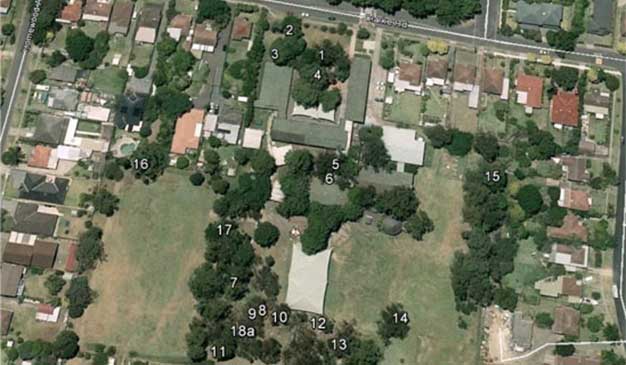 aerial view of trees with numbers for tree removal plans
