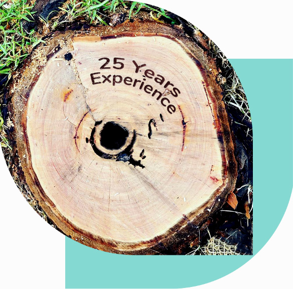 Highest rated local tree services company with 25 years of exp