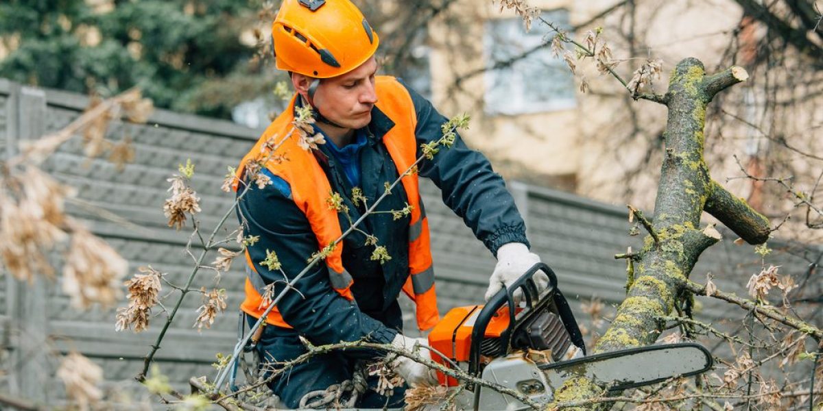 get ready for a spring with man using chainsaw to cut branch