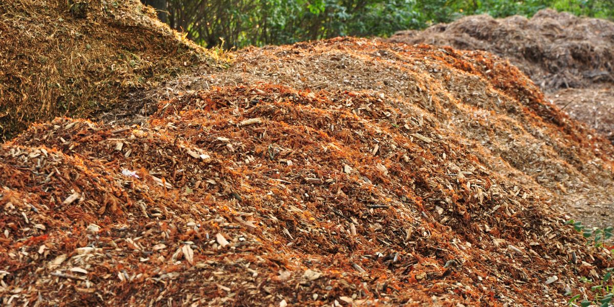 composting of autumn leaves with pile of tree debris in garden